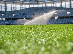 多特蒙德,逆转取胜莱,比锡,OD,OD,OD体育官网,OD官网,OD体育下载